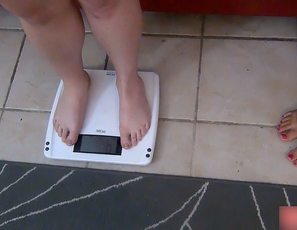 Phoenix_Vs_Layla_Size_Comparison